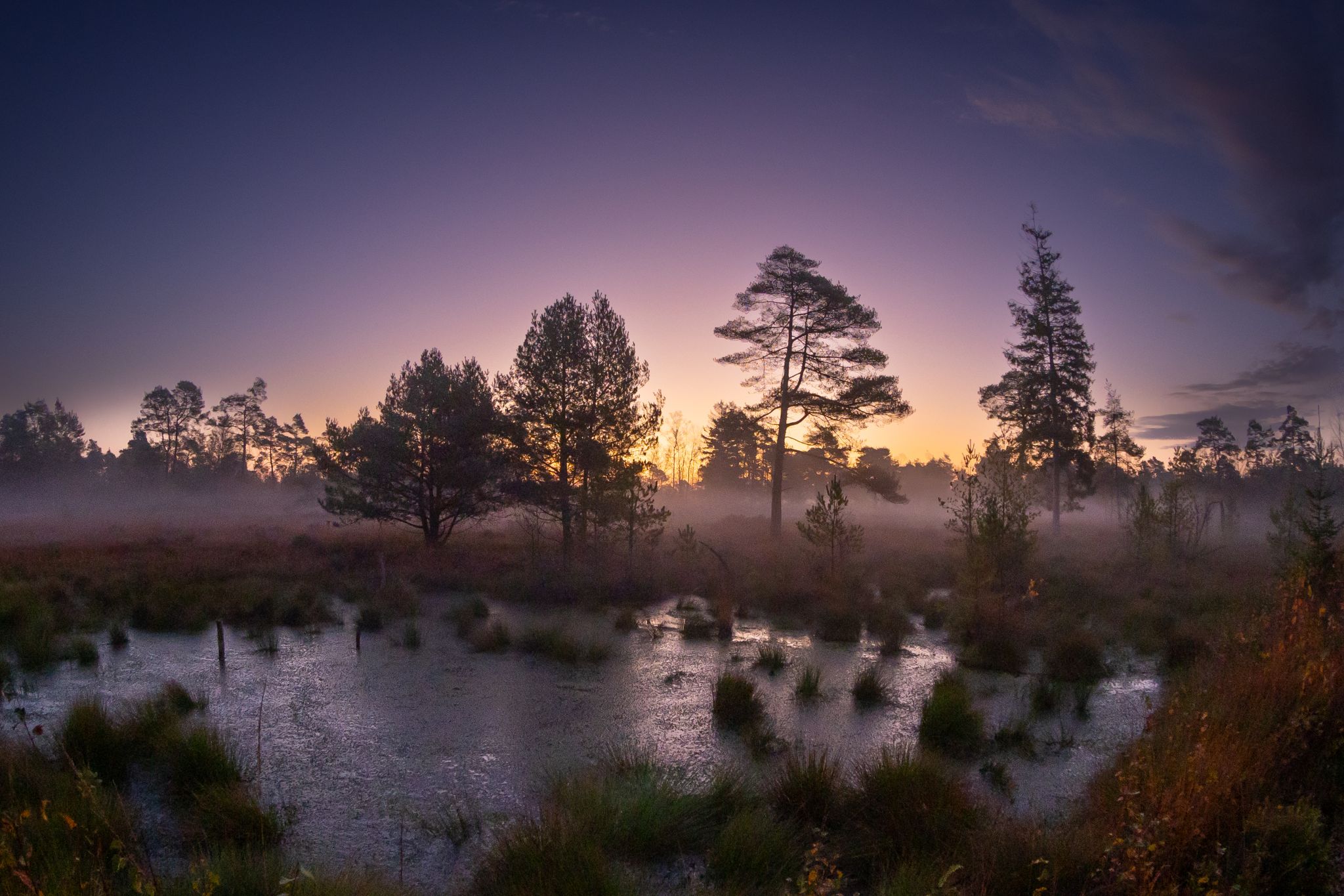Sonnenaufgang im Moor
