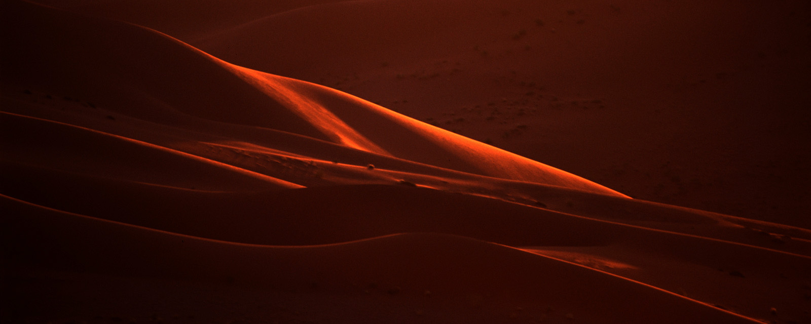 Dune Shadow I
