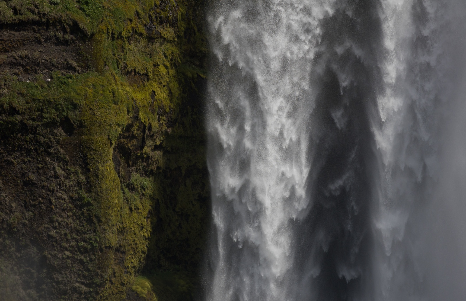 Brutplatz mit Aussicht